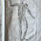 1744 ANATOMICAL TREATISE Tabularum Anatomicarum ILLUSTRATED FOLIO antique