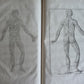 1744 ANATOMICAL TREATISE Tabularum Anatomicarum ILLUSTRATED FOLIO antique