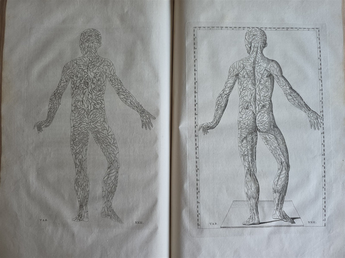 1744 ANATOMICAL TREATISE Tabularum Anatomicarum ILLUSTRATED FOLIO antique