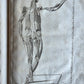 1744 ANATOMICAL TREATISE Tabularum Anatomicarum ILLUSTRATED FOLIO antique