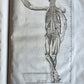1744 ANATOMICAL TREATISE Tabularum Anatomicarum ILLUSTRATED FOLIO antique