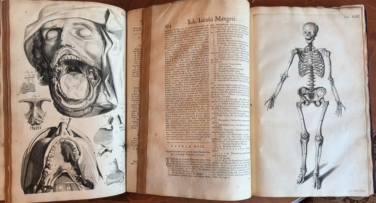 1717 ANATOMICAL TREATISE Theatrum Anatomicum ILLUSTRATED 2 FOLIO VOLUMES antique
