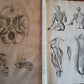 1717 ANATOMICAL TREATISE Theatrum Anatomicum ILLUSTRATED 2 FOLIO VOLUMES antique