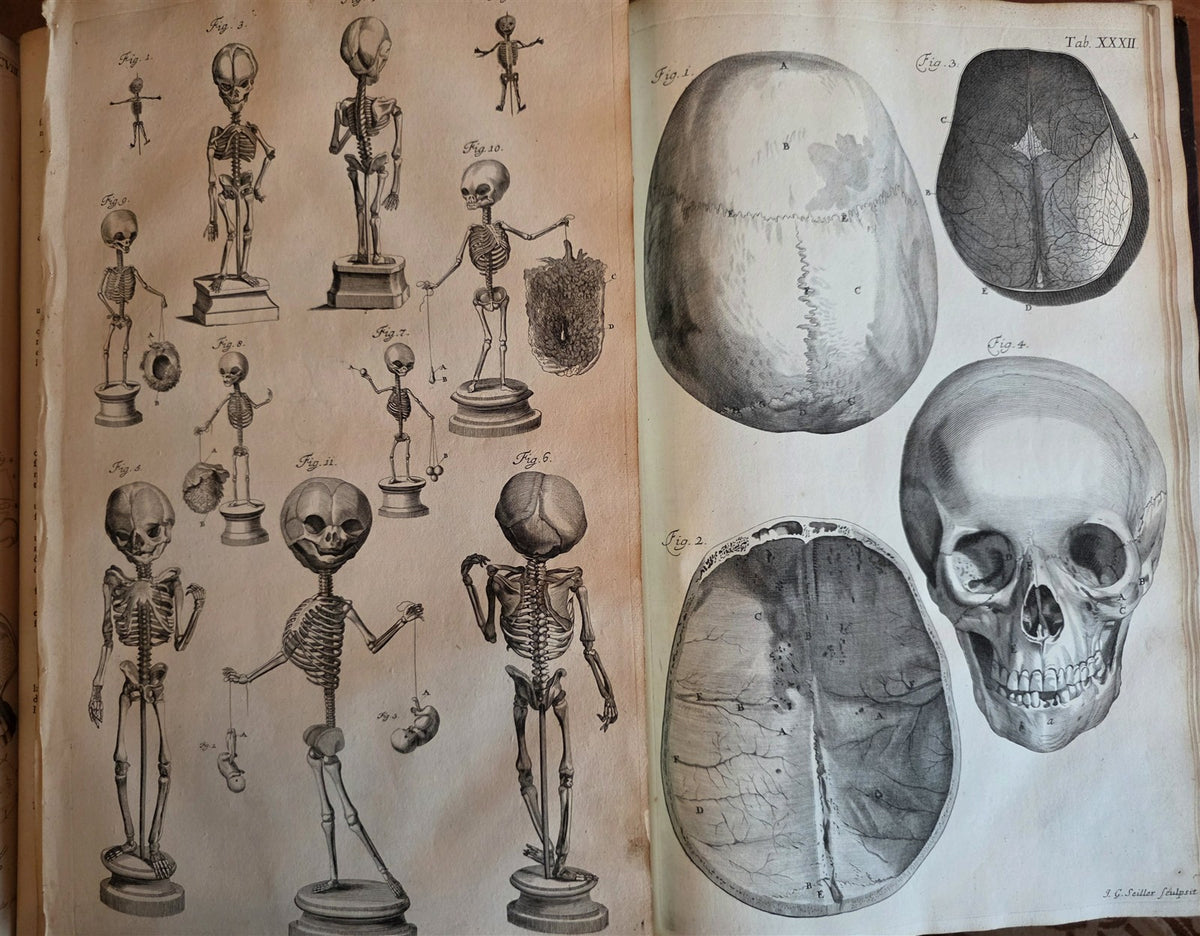 1717 ANATOMICAL TREATISE Theatrum Anatomicum ILLUSTRATED 2 FOLIO VOLUMES antique