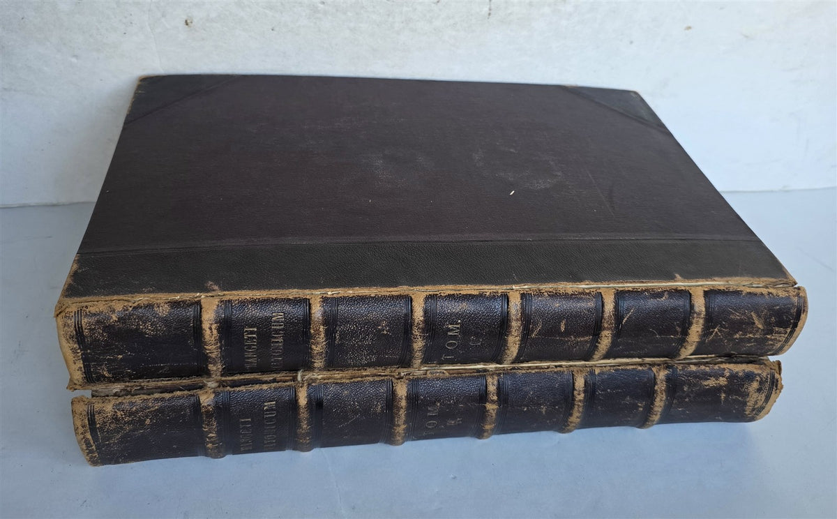 1717 ANATOMICAL TREATISE Theatrum Anatomicum ILLUSTRATED 2 FOLIO VOLUMES antique