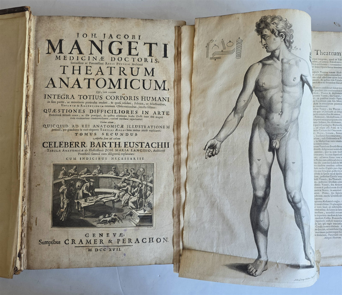 1717 ANATOMICAL TREATISE Theatrum Anatomicum ILLUSTRATED 2 FOLIO VOLUMES antique