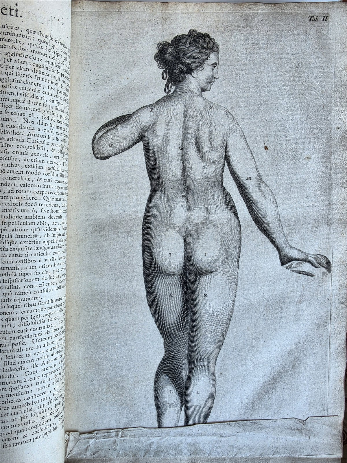 1717 ANATOMICAL TREATISE Theatrum Anatomicum ILLUSTRATED 2 FOLIO VOLUMES antique
