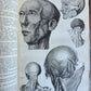 1717 ANATOMICAL TREATISE Theatrum Anatomicum ILLUSTRATED 2 FOLIO VOLUMES antique