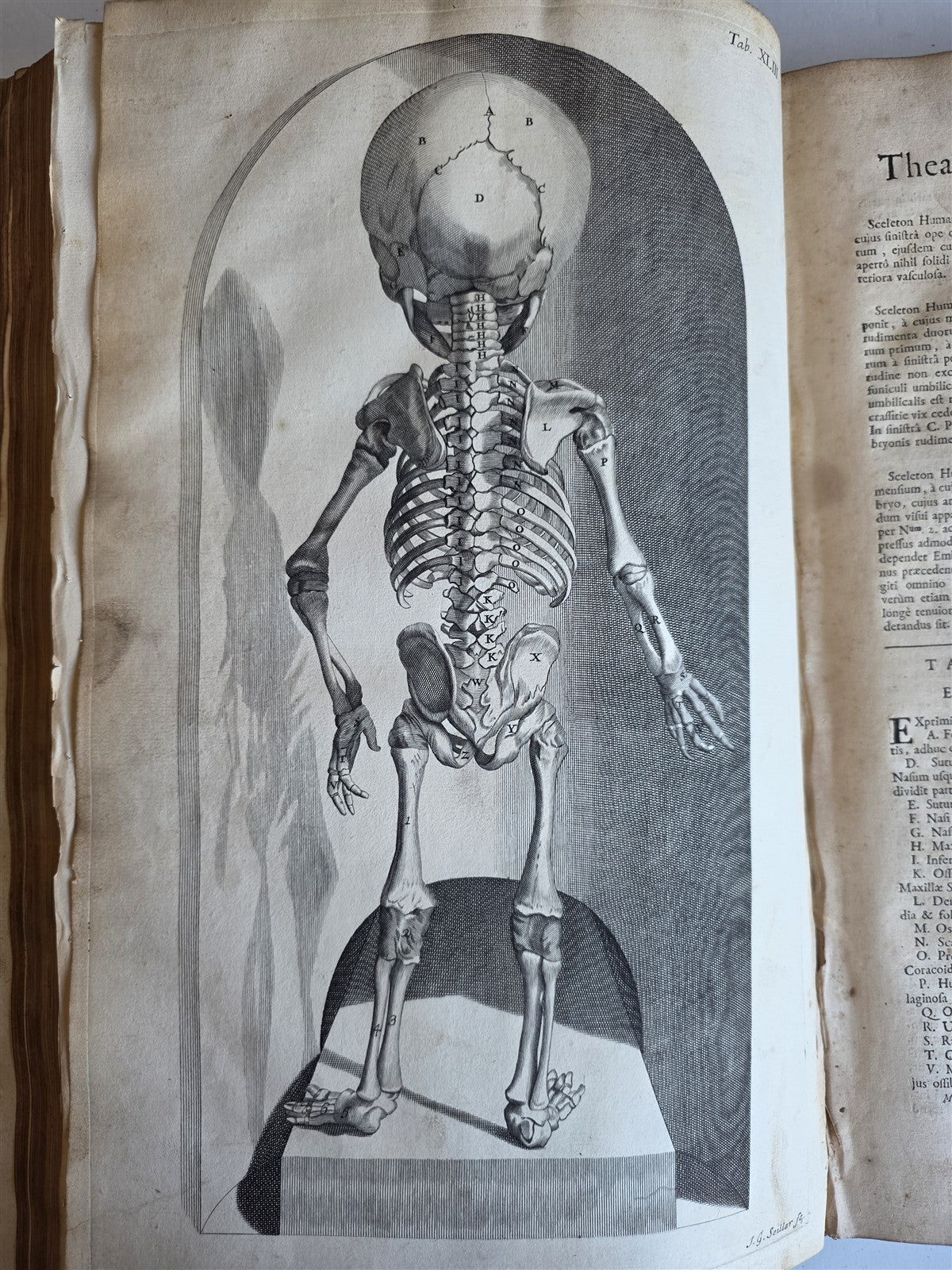 1717 ANATOMICAL TREATISE Theatrum Anatomicum ILLUSTRATED 2 FOLIO VOLUMES antique