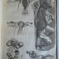 1717 ANATOMICAL TREATISE Theatrum Anatomicum ILLUSTRATED 2 FOLIO VOLUMES antique