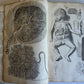 1717 ANATOMICAL TREATISE Theatrum Anatomicum ILLUSTRATED 2 FOLIO VOLUMES antique