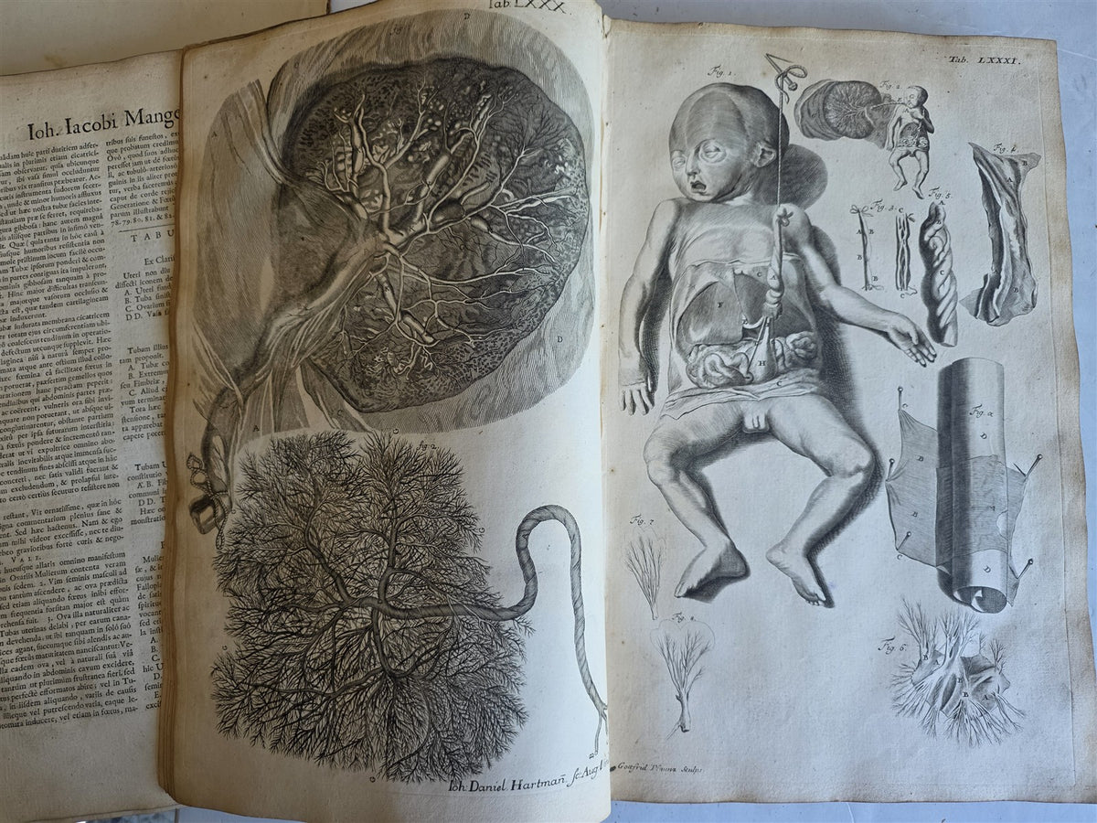 1717 ANATOMICAL TREATISE Theatrum Anatomicum ILLUSTRATED 2 FOLIO VOLUMES antique