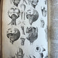 1717 ANATOMICAL TREATISE Theatrum Anatomicum ILLUSTRATED 2 FOLIO VOLUMES antique