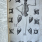 1717 ANATOMICAL TREATISE Theatrum Anatomicum ILLUSTRATED 2 FOLIO VOLUMES antique