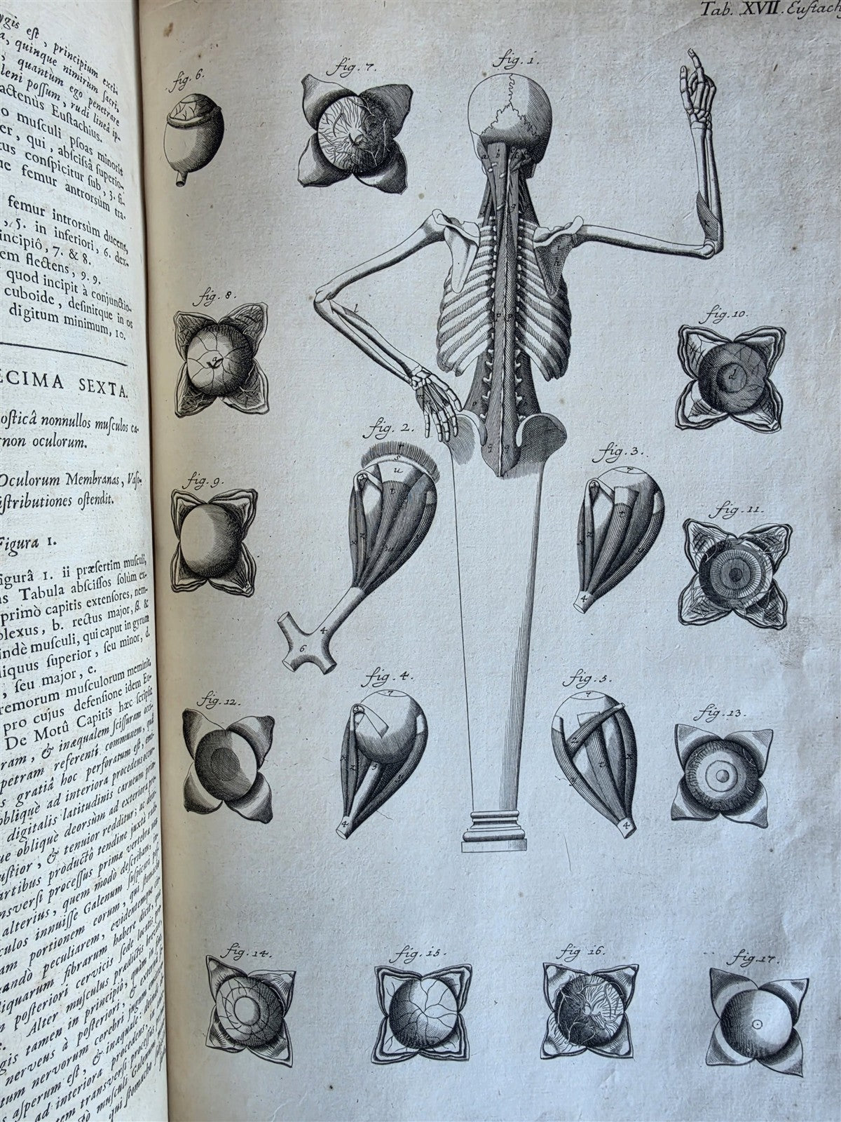 1717 ANATOMICAL TREATISE Theatrum Anatomicum ILLUSTRATED 2 FOLIO VOLUMES antique