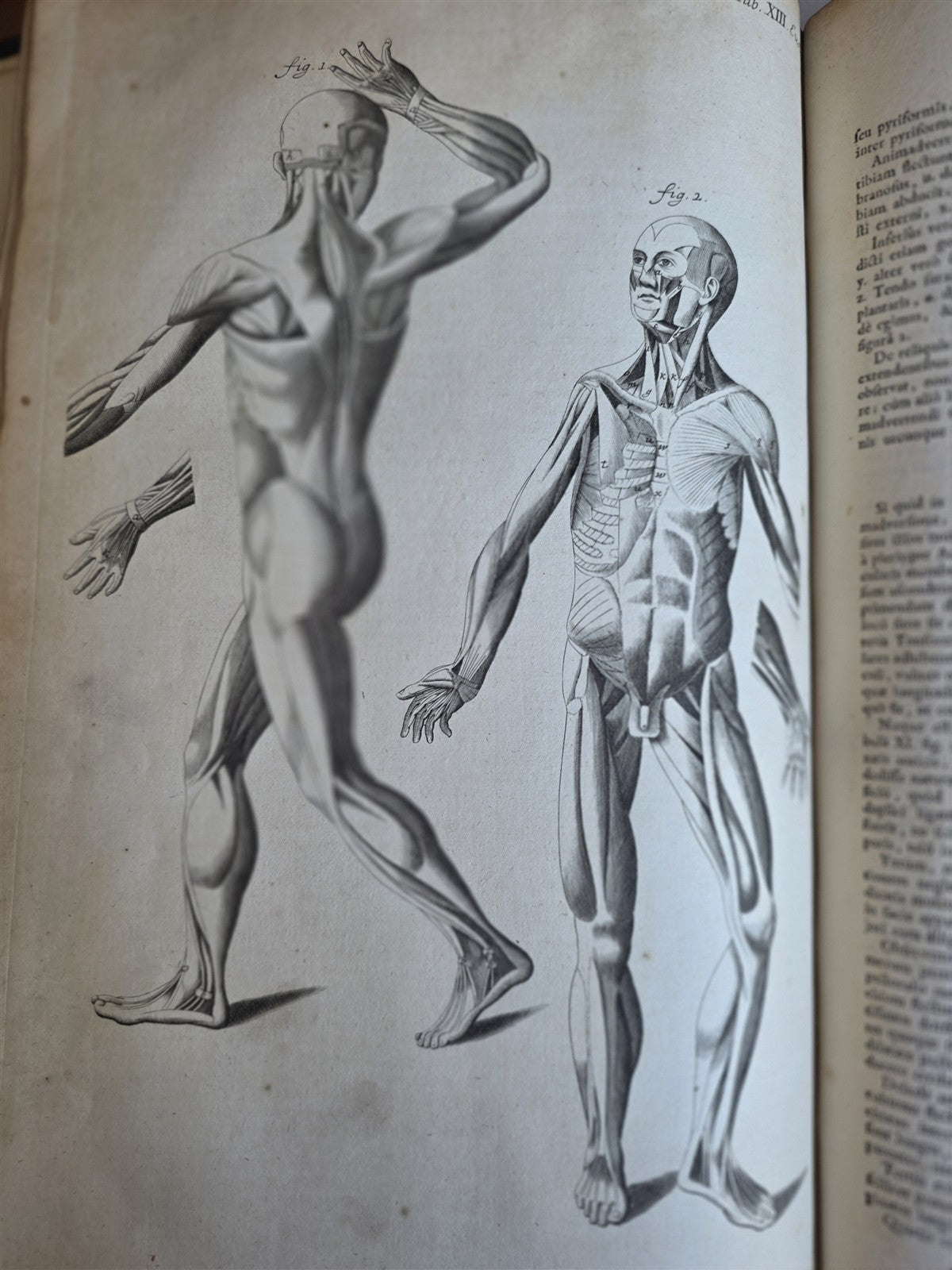 1717 ANATOMICAL TREATISE Theatrum Anatomicum ILLUSTRATED 2 FOLIO VOLUMES antique