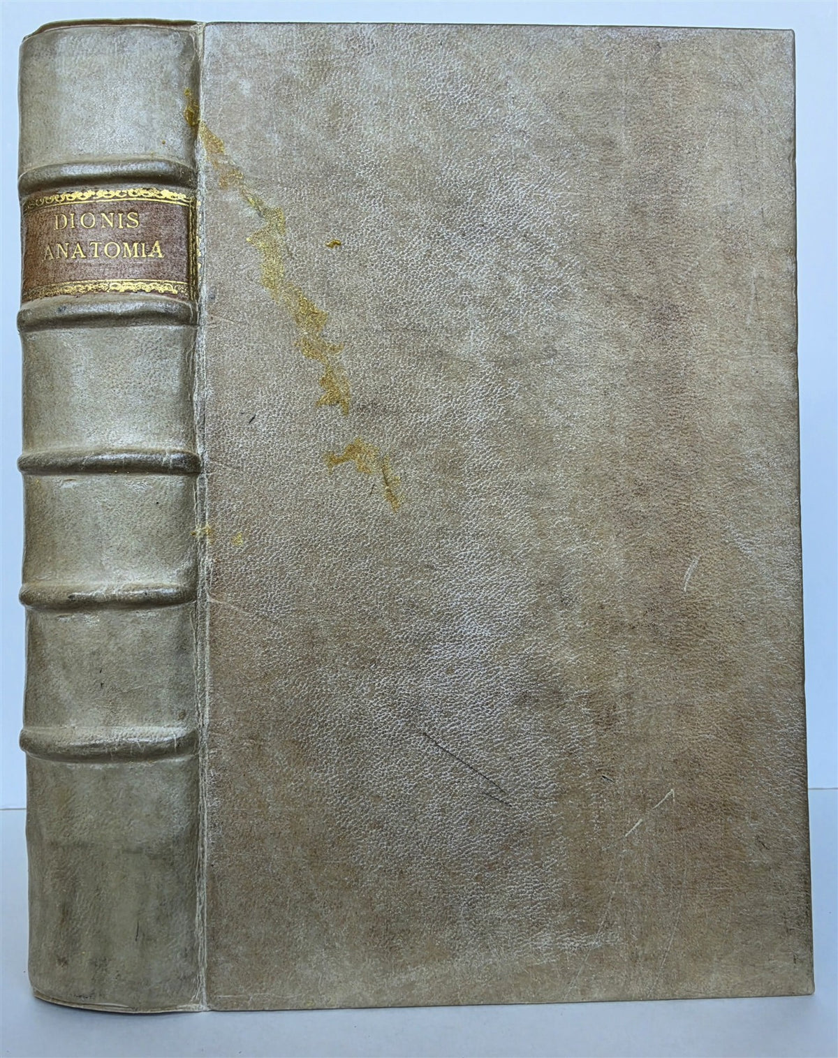 1696 ANATOMICAL TREATISE Anatomia Corporis Humani P.DIONIS antique ILLUSTRATED