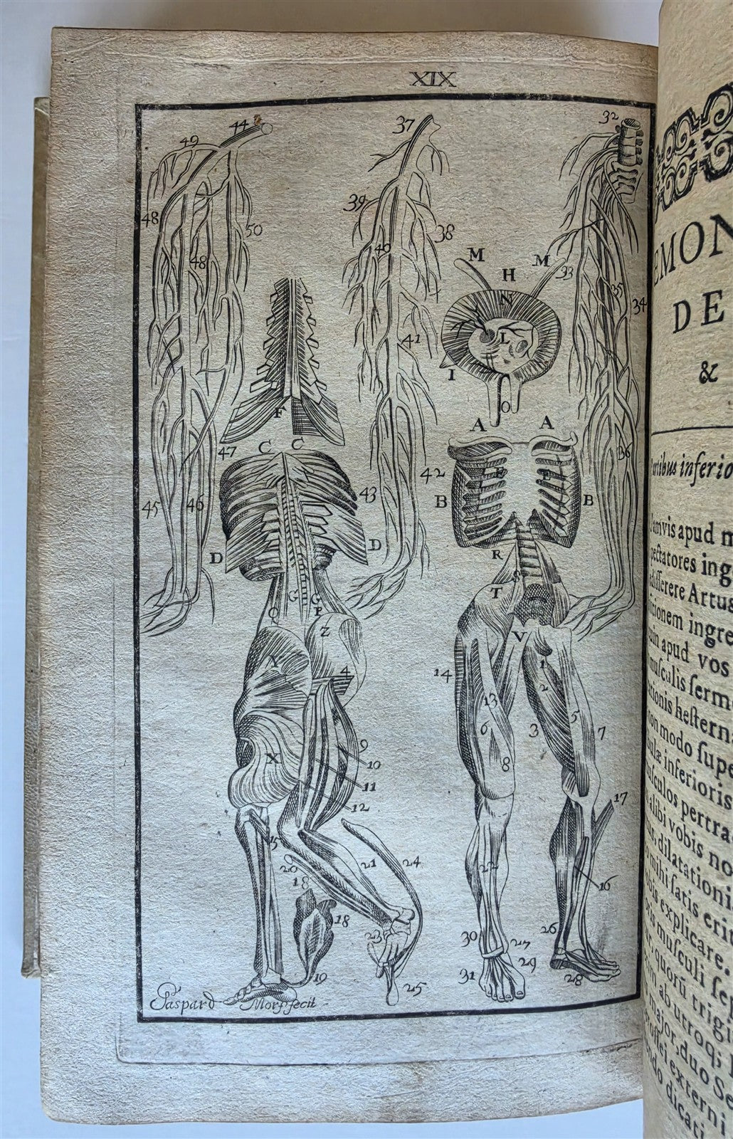 1696 ANATOMICAL TREATISE Anatomia Corporis Humani P.DIONIS antique ILLUSTRATED