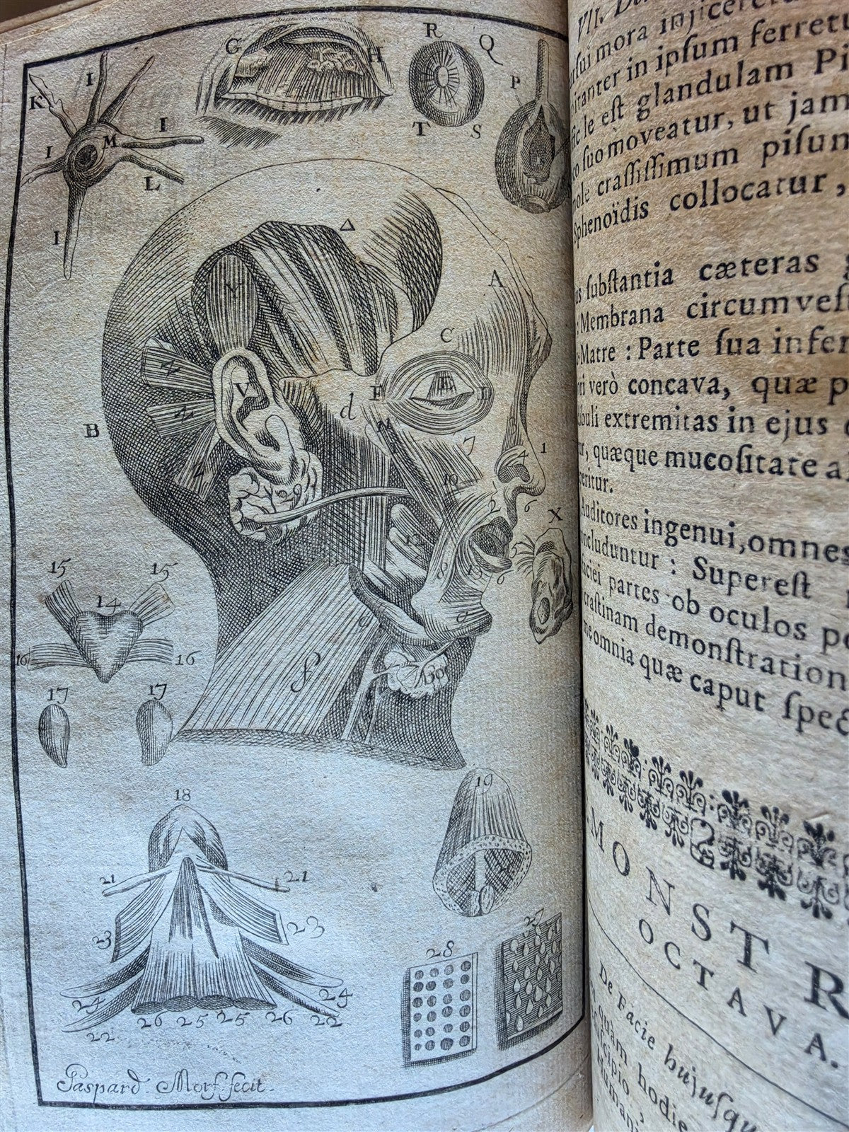 1696 ANATOMICAL TREATISE Anatomia Corporis Humani P.DIONIS antique ILLUSTRATED