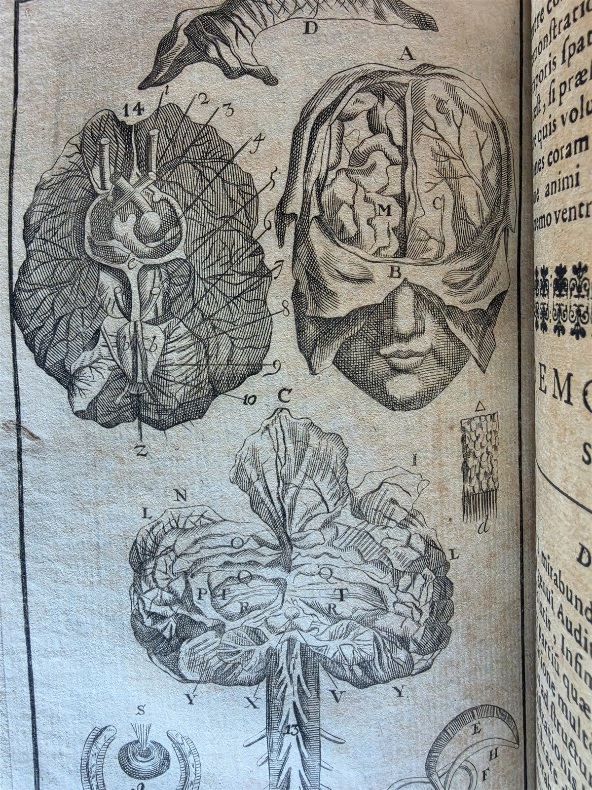 1696 ANATOMICAL TREATISE Anatomia Corporis Humani P.DIONIS antique ILLUSTRATED