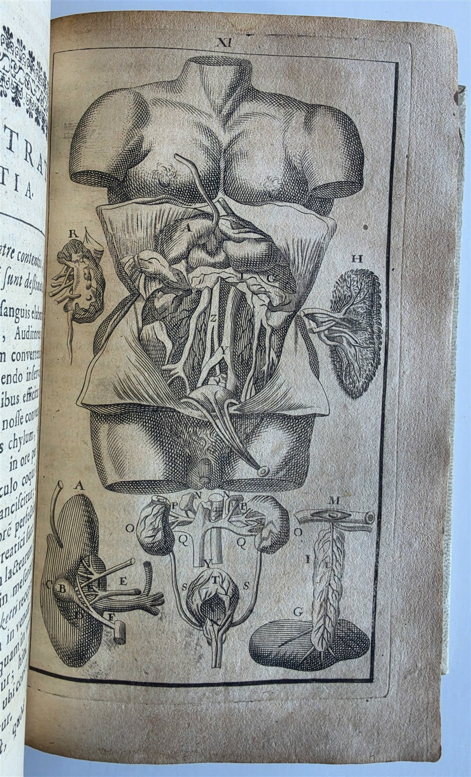 1696 ANATOMICAL TREATISE Anatomia Corporis Humani P.DIONIS antique ILLUSTRATED