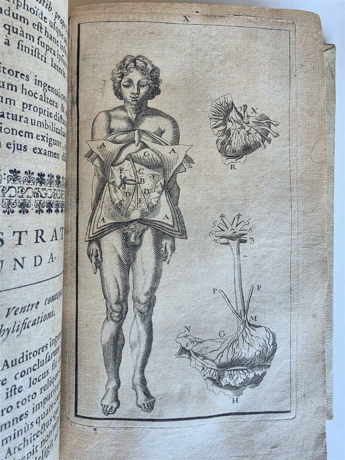 1696 ANATOMICAL TREATISE Anatomia Corporis Humani P.DIONIS antique ILLUSTRATED