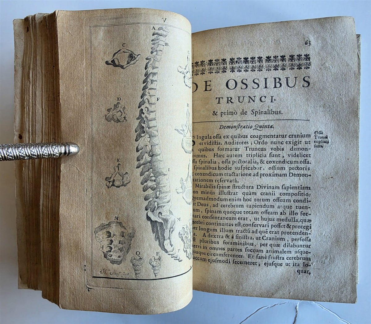 1696 ANATOMICAL TREATISE Anatomia Corporis Humani P.DIONIS antique ILLUSTRATED
