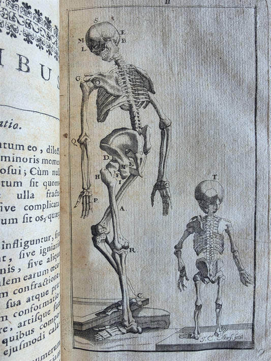 1696 ANATOMICAL TREATISE Anatomia Corporis Humani P.DIONIS antique ILLUSTRATED