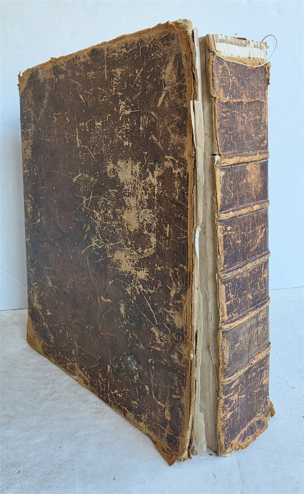 1827 BIBLE in ENGLISH antique ILLUSTRATED Cooperstown NY AMERICANA