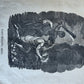 1827 BIBLE in ENGLISH antique ILLUSTRATED Cooperstown NY AMERICANA