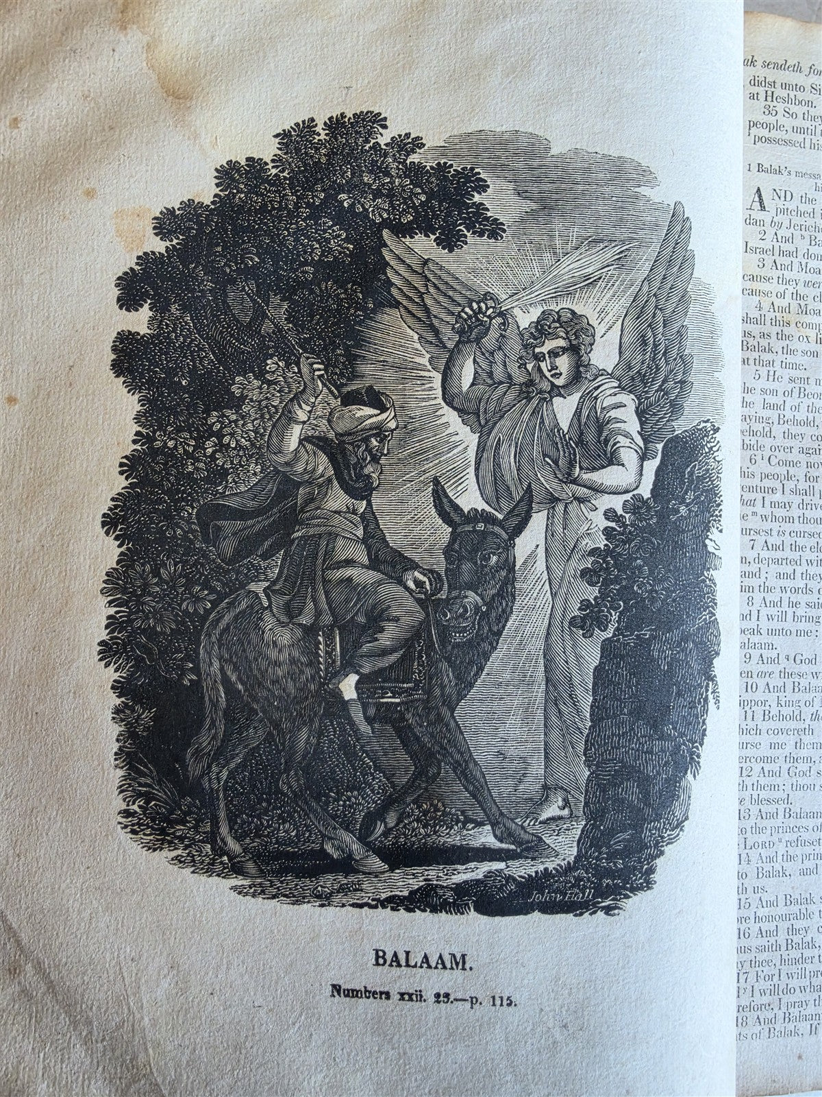 1827 BIBLE in ENGLISH antique ILLUSTRATED Cooperstown NY AMERICANA