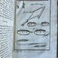 1750 MATHEMATICS & PHYSICS antique 4 ILLUSTRATED VOLUMES SET
