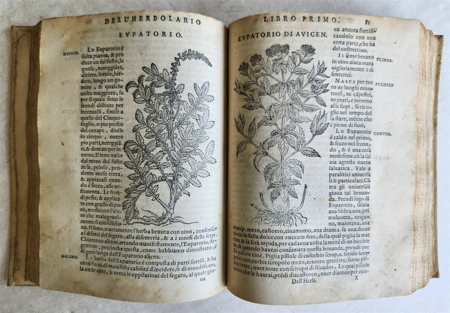 1561 PHARMACOPEIA ILLUSTRATED MEDICAL PLANTS by SANSOVINO antique 16th CENTURY