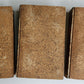 1838 TRAVELS to OCEANIA MALAYSIA POLYNESIA 3 VOLUMES antique ILLUSTRATED German