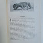 1907 IN WILDEST AFRICA by C.G.SHILLINGS antique ILLUSTRATED