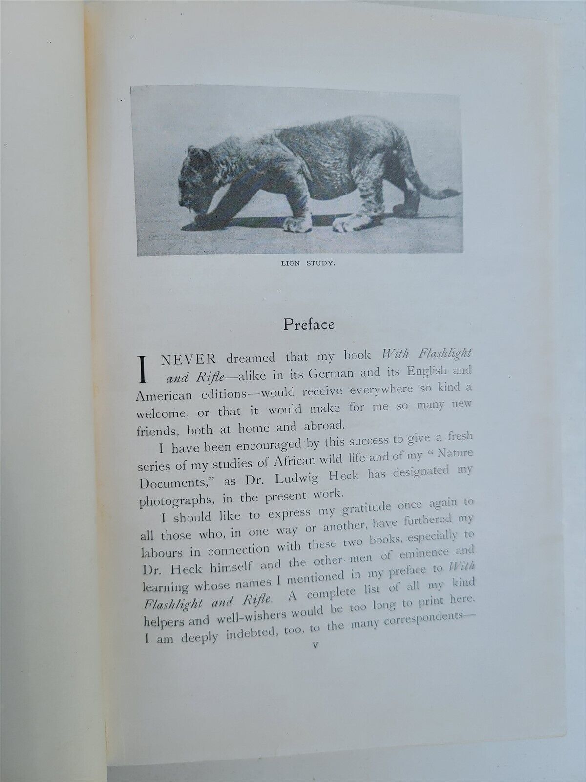 1907 IN WILDEST AFRICA by C.G.SHILLINGS antique ILLUSTRATED