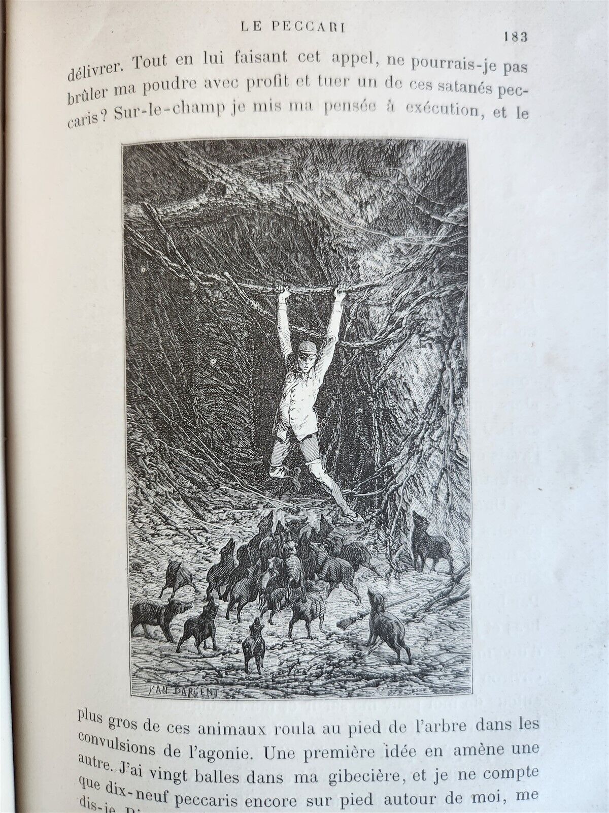 1884 HUNTING in NORTH AMERICA CHASSES dans AMERIQUE du NORD antique ILLUSTRATED