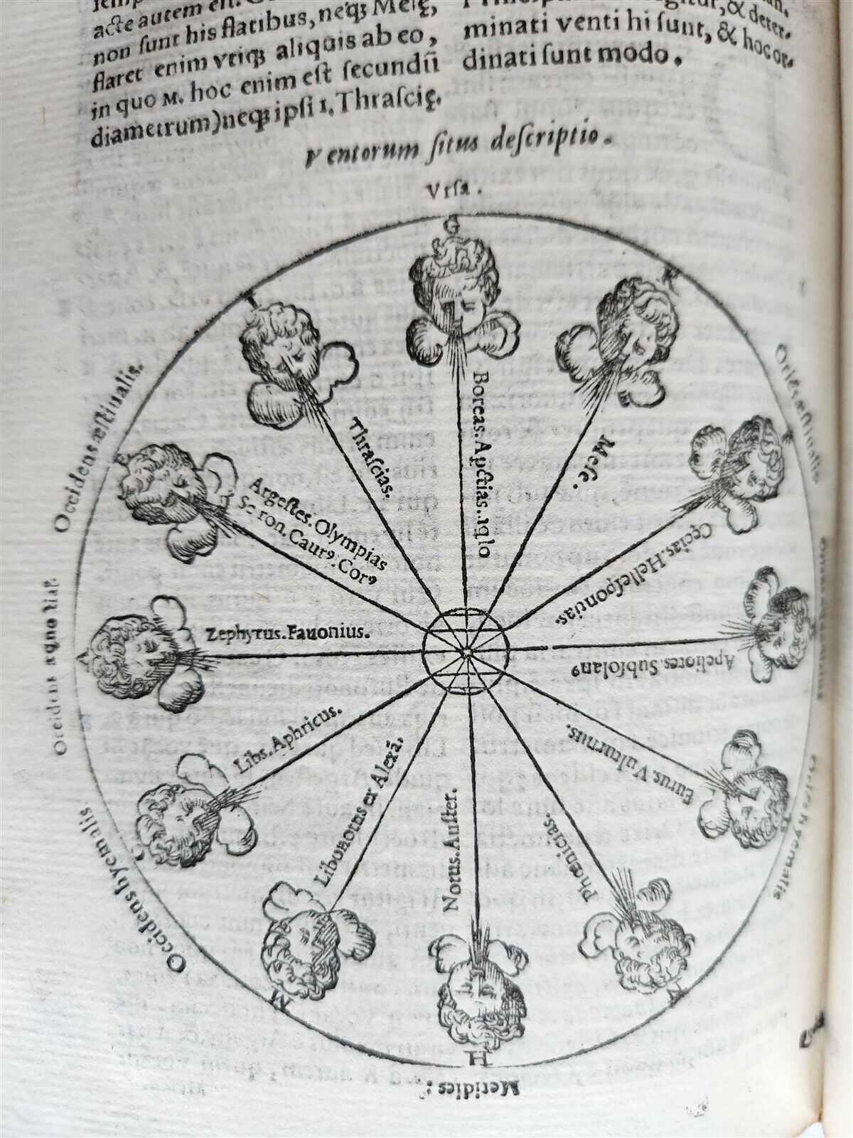 1574 ARISTOTLE 6 VOLS SET ILLUSTRATED antique VELLUM BINDINGS MANUSCRIPT SPINES