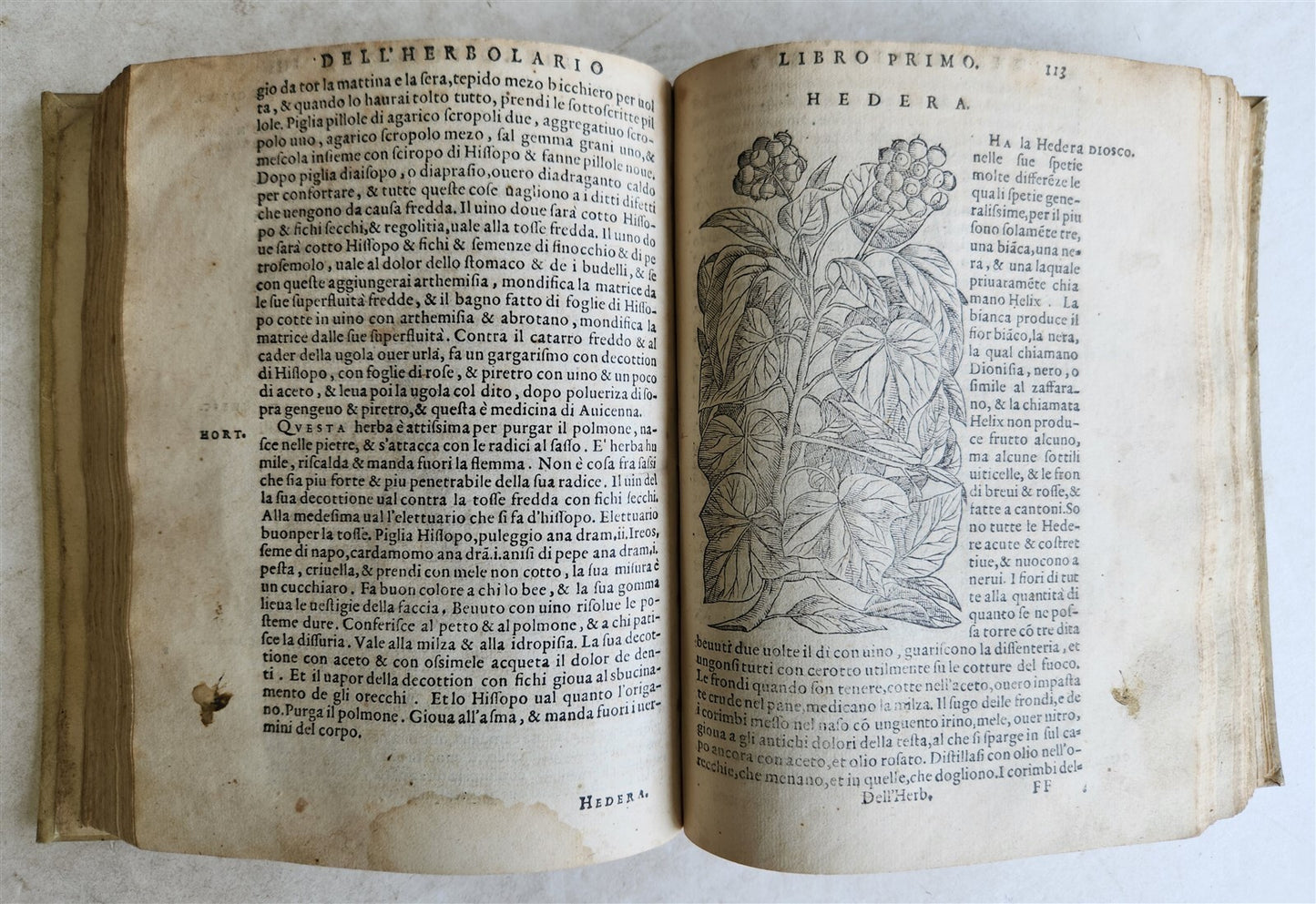 1561 PHARMACOPEIA ILLUSTRATED MEDICAL PLANTS by SANSOVINO antique 16th CENTURY