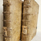 1588 SERMONS of PORTUGUESE THEOLOGIAN F. DIAZ 2 VOLUMES antique PIGSKIN BINDING