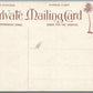 HAWAIIAN ISLANDS RICE FIELD PRIVATE MAIL ANTIQUE POSTCARD