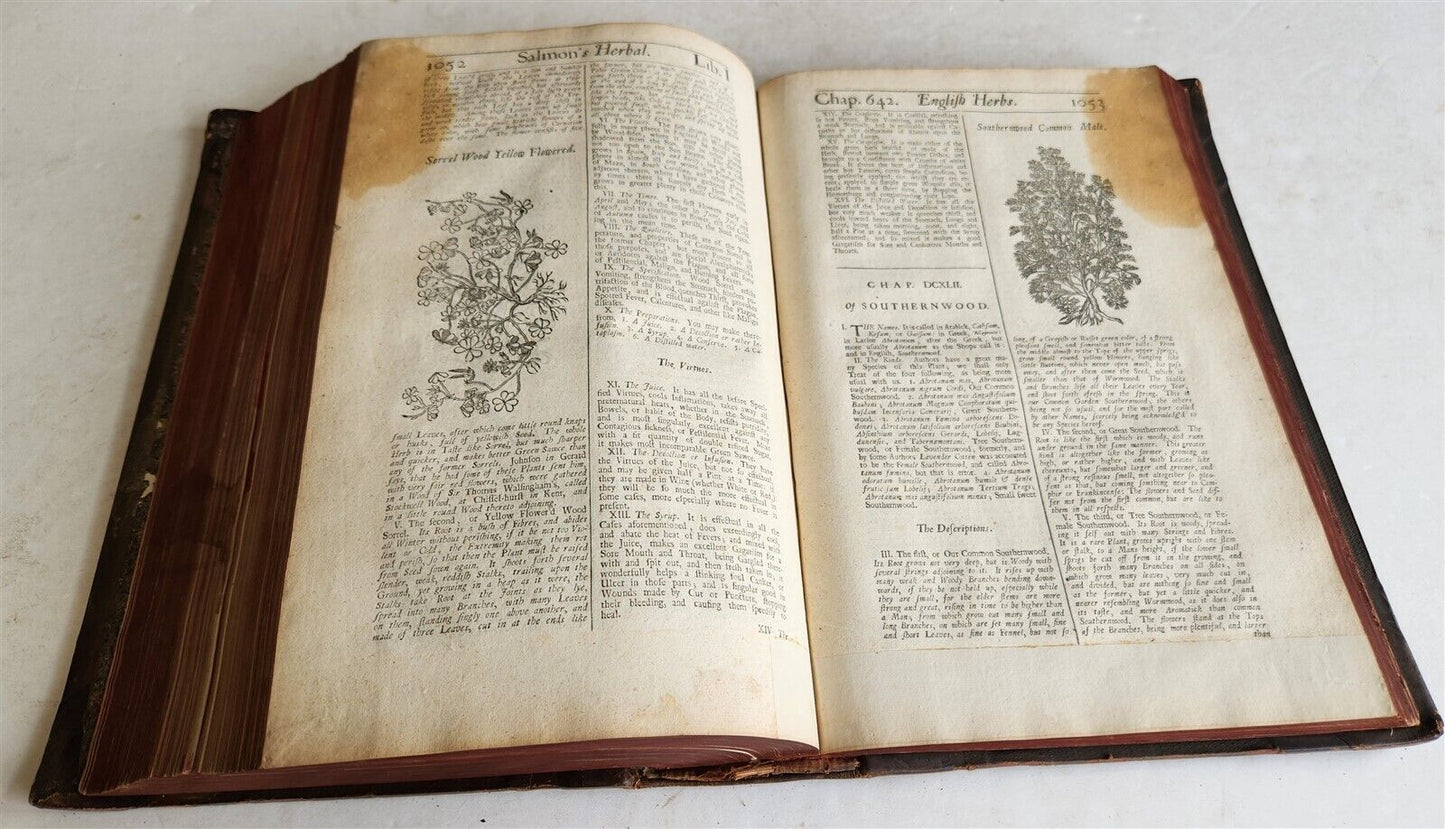 1710 BOTANOLOGIA ENGLISH HERBAL antique ILLUSTRATED MASSIVE FOLIO