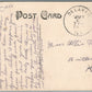 DELAVAN IL LOCUST STREET ANTIQUE POSTCARD