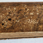 1542 HISTORY by PLINY SECUNDUS antique 16th CENTURY