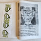 1943 ART ALBUM ANTIQUE BOOKS INITIALS ILLUSTRATED in GERMAN