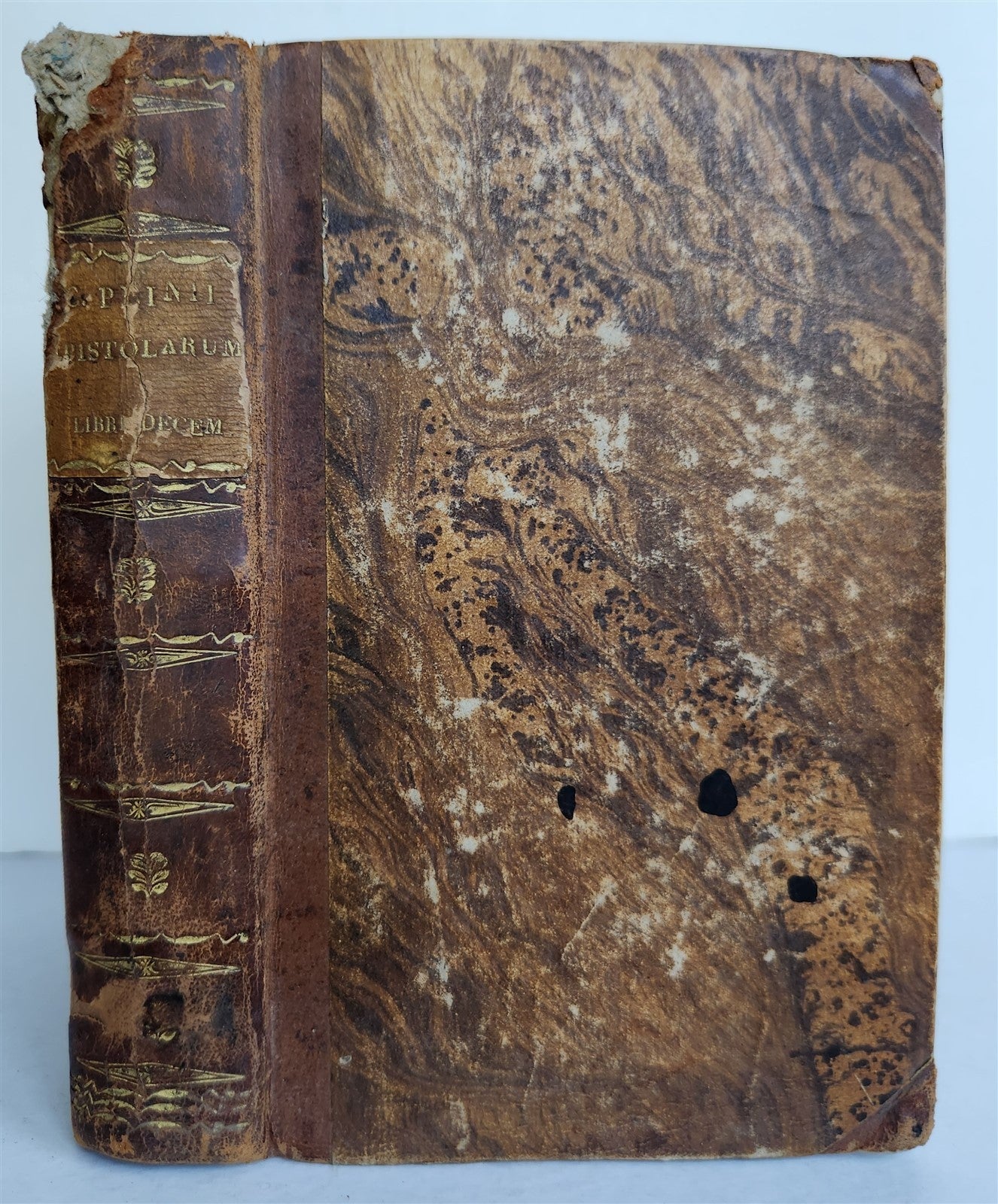 1542 HISTORY by PLINY SECUNDUS antique 16th CENTURY