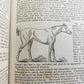 1843 THE HORSE by WILLIAM YOUATT antique ILLUSTRATED