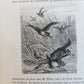 1884 HUNTING in NORTH AMERICA CHASSES dans AMERIQUE du NORD antique ILLUSTRATED