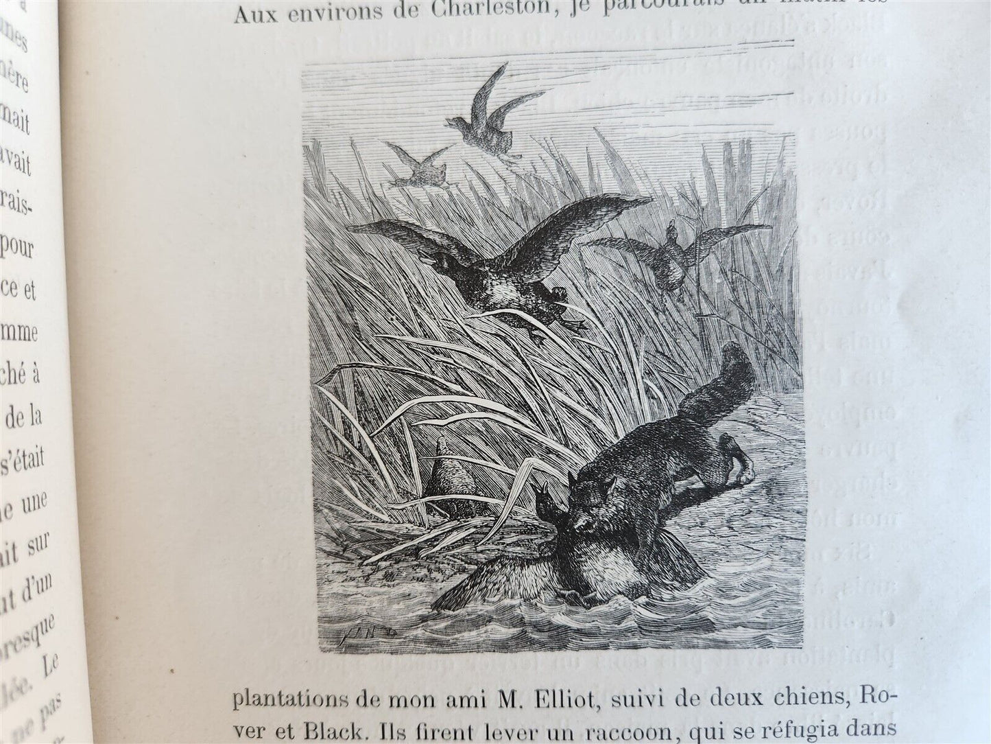 1884 HUNTING in NORTH AMERICA CHASSES dans AMERIQUE du NORD antique ILLUSTRATED