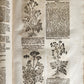 1696 THEATRUM BOTANICUM by Theodor ZWINGER antique ILLUSTRATED FOLIO in GERMAN